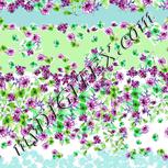 Colour:C