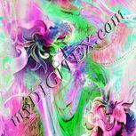 Colour:B