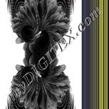 Colour:C