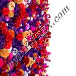 Colour:B