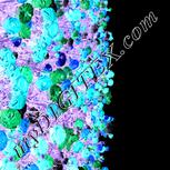 Colour:F