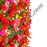 Colour:J