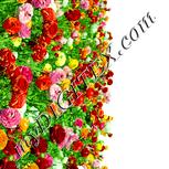 Colour:K