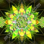 Colour:D