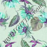 Colour:B