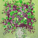 Colour:D