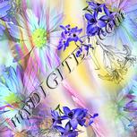 Colour:A