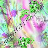 Colour:B