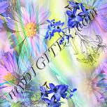 Colour:D