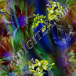 Colour:F
