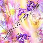 Colour:J