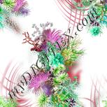 Colour:C