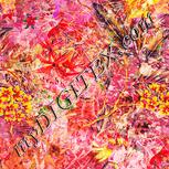 Colour:J