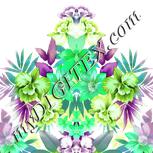 Colour:C