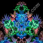 Colour:F