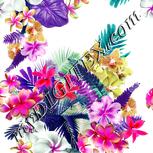 Colour:B