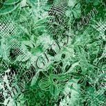 Colour:C