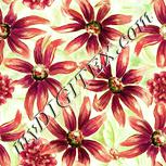 Colour:K