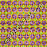 Colour:F