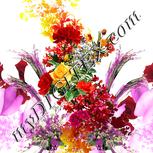 Colour:A