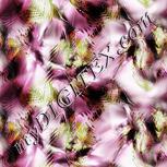 Colour:B