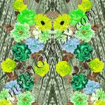 Colour:D