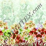 Colour:K