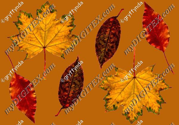 autumnleaves