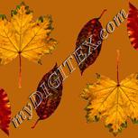 Colour:A