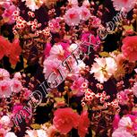 Colour:J