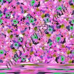 Colour:C