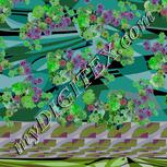 Colour:C