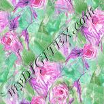 Colour:B