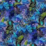 Colour:F