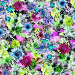 Colour:D
