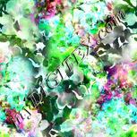 Colour:C