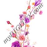 Colour:J