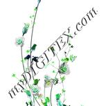 Colour:C