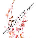 Colour:J