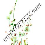 Colour:K
