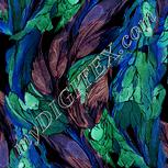 Colour:F