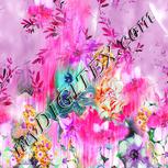 Colour:B