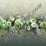 Colour:D