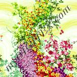 Colour:K
