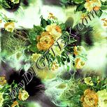 Colour:K