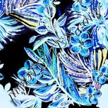 Colour:F
