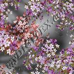 Colour:A