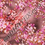Colour:J