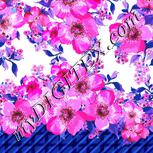 Colour:B