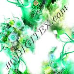 Colour:C